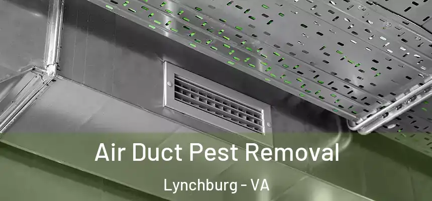 Air Duct Pest Removal Lynchburg - VA