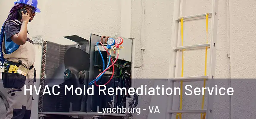  HVAC Mold Remediation Service Lynchburg - VA