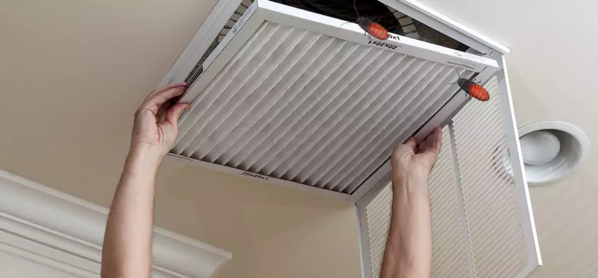 Preventive Cockroach-Proofing for Ducts in Lynchburg