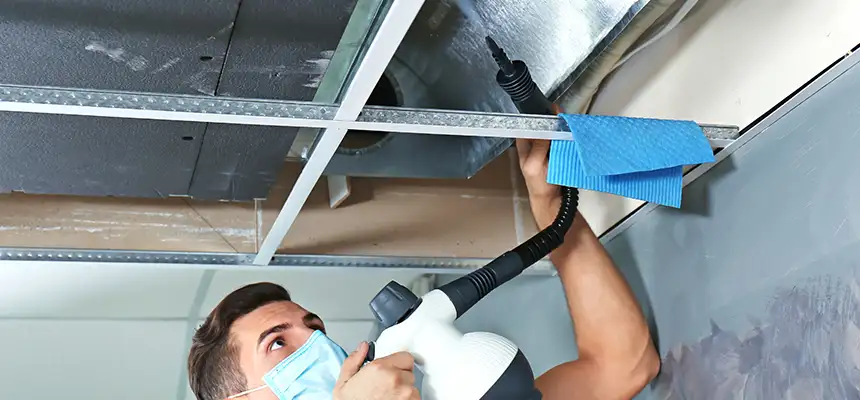 Our Air Duct Rodent Removal Services in Lynchburg, VA