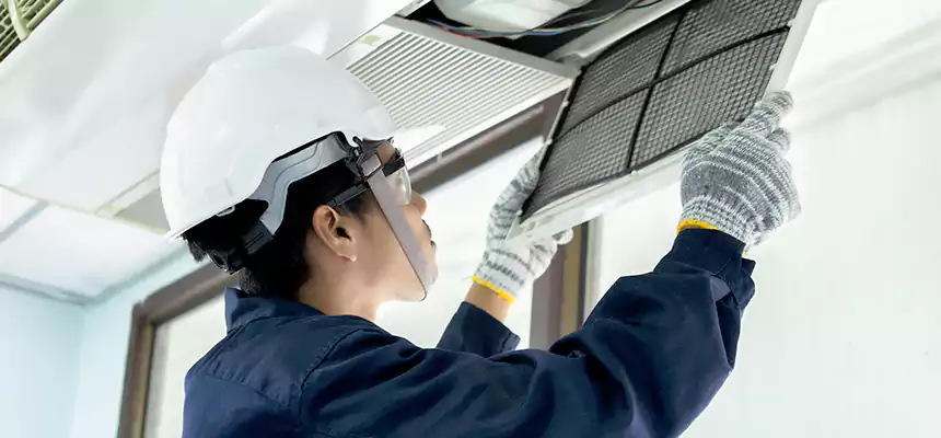 Our Mold & Mildew Removal from Air Ducts Services in Lynchburg, VA