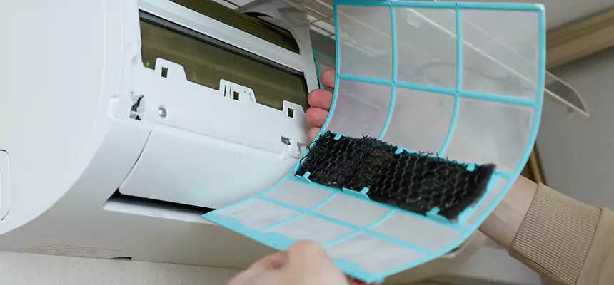 Gentle Ductwork Odor-Control Pet Dander Duct Cleaning in Lynchburg, VA