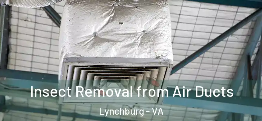  Insect Removal from Air Ducts Lynchburg - VA