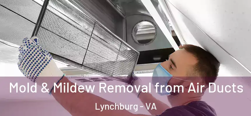  Mold & Mildew Removal from Air Ducts Lynchburg - VA