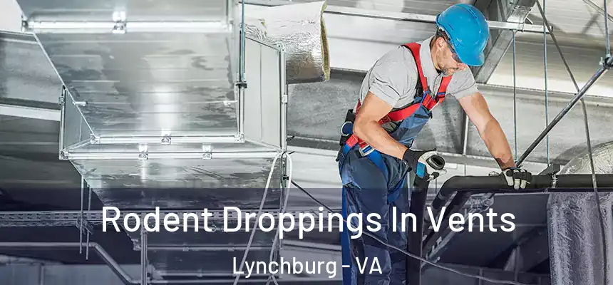 Rodent Droppings In Vents Lynchburg - VA