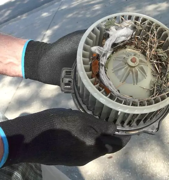 About Air Duct Mice Removal in Lynchburg, VA