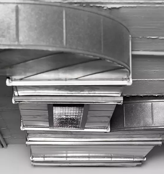 Professional Air Duct Pet Hair Removal in Lynchburg, VA