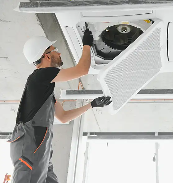 About Air Duct Rodent Removal in Lynchburg, VA