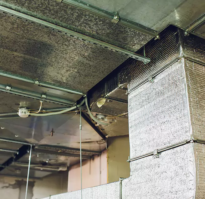 Why Homeowners & Businesses Trust Us in Lynchburg, VA?